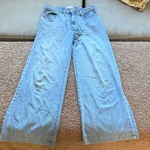 Everlane Sky Blue Flare Jeans